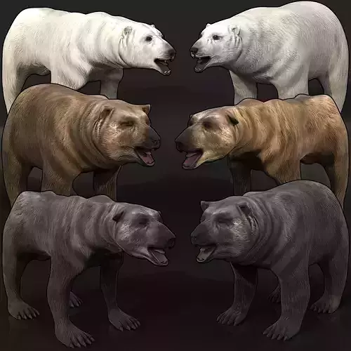 Next Gen AAA Bear Megapack 3D Model Collection