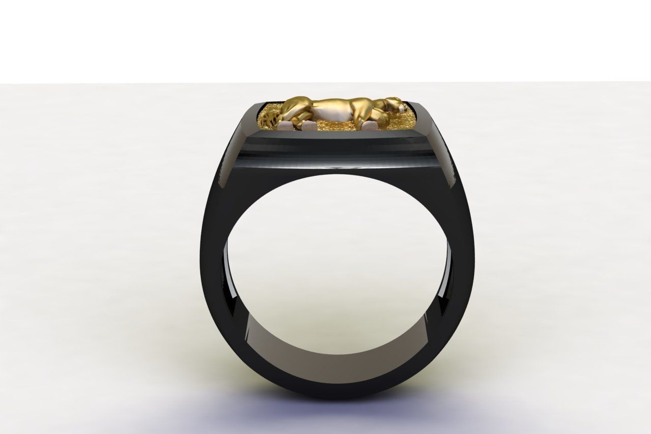 Horse Signet Hollow Rings in EU Sizes 3D print model_3