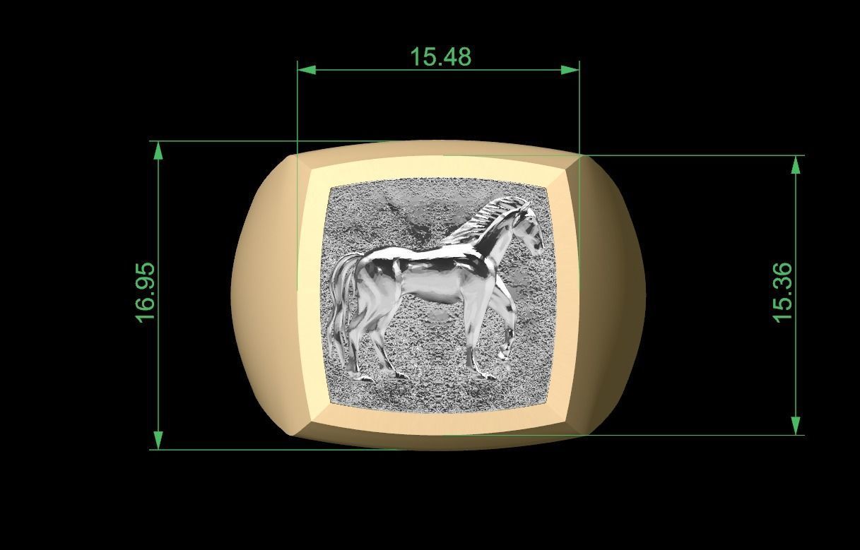Horse Signet Hollow Rings in EU Sizes 3D print model_8
