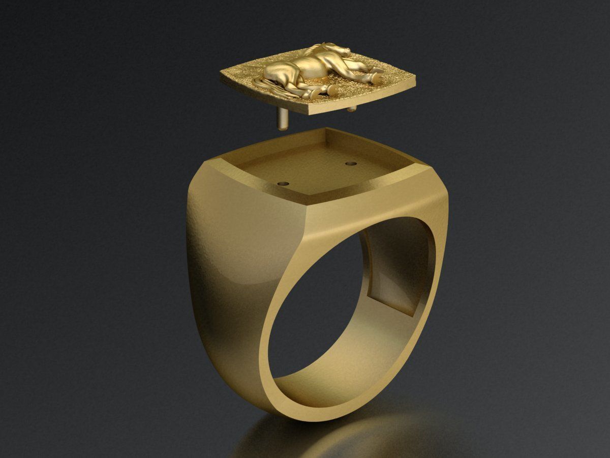 Horse Signet Hollow Rings in EU Sizes 3D print model_4