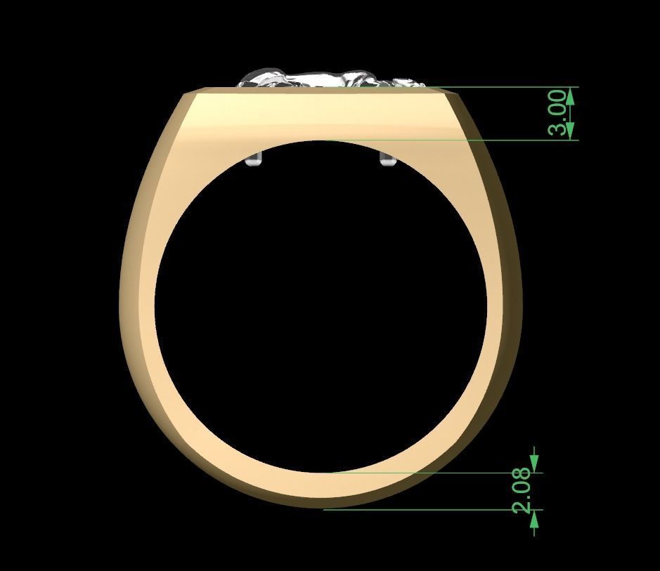 Horse Signet Hollow Rings in EU Sizes 3D print model_7