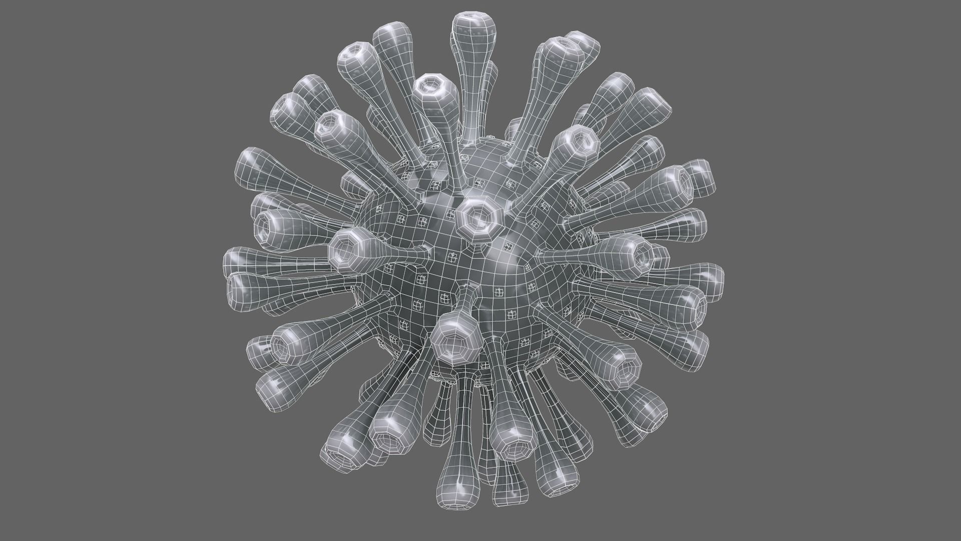 Coronavirus Realtime Low-poly 3D model_8