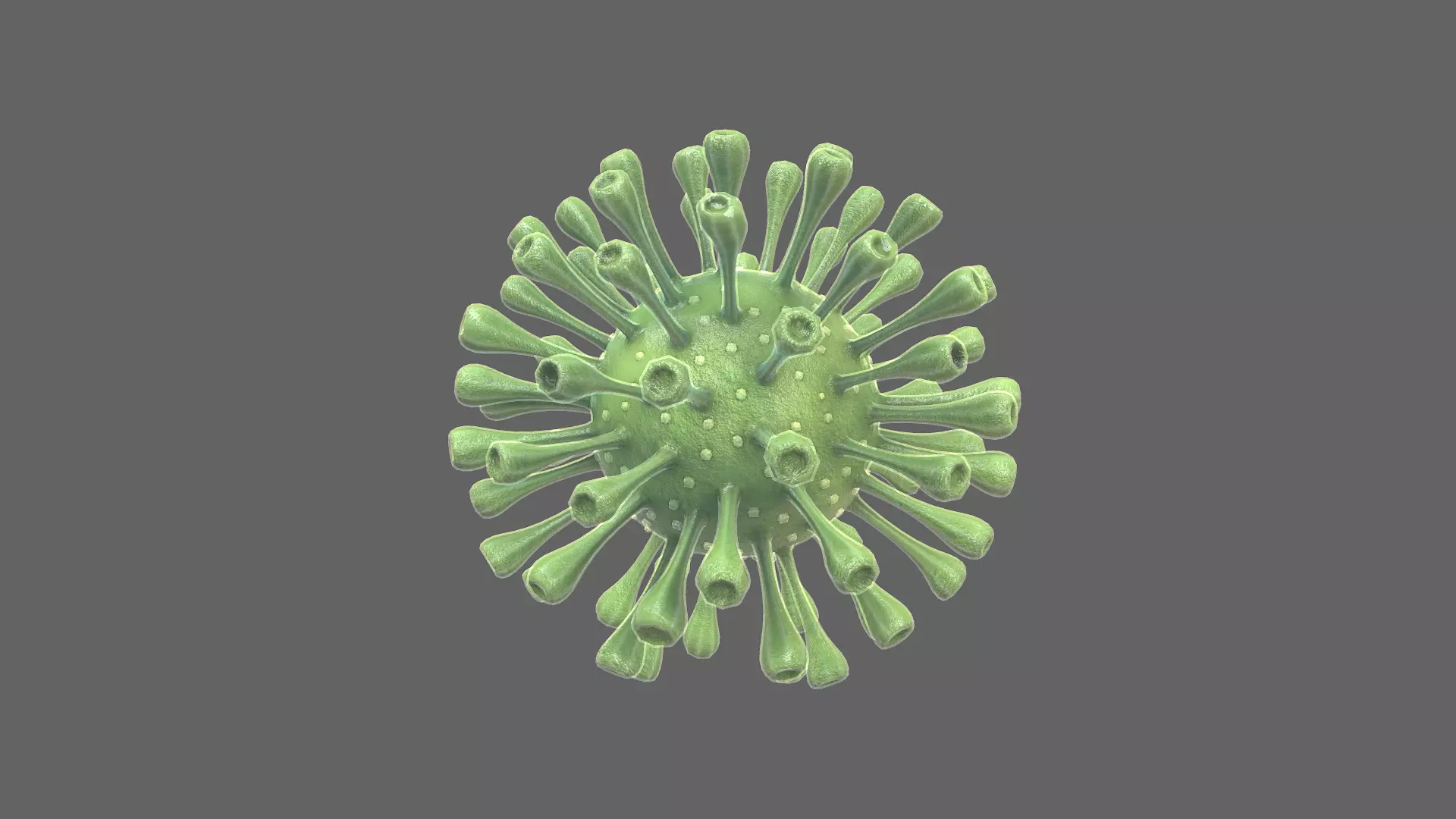 Coronavirus Realtime Low-poly 3D model_0