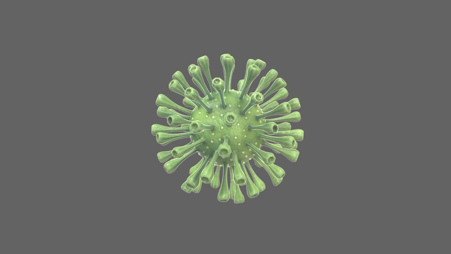 Coronavirus Realtime Low-poly 3D model_7