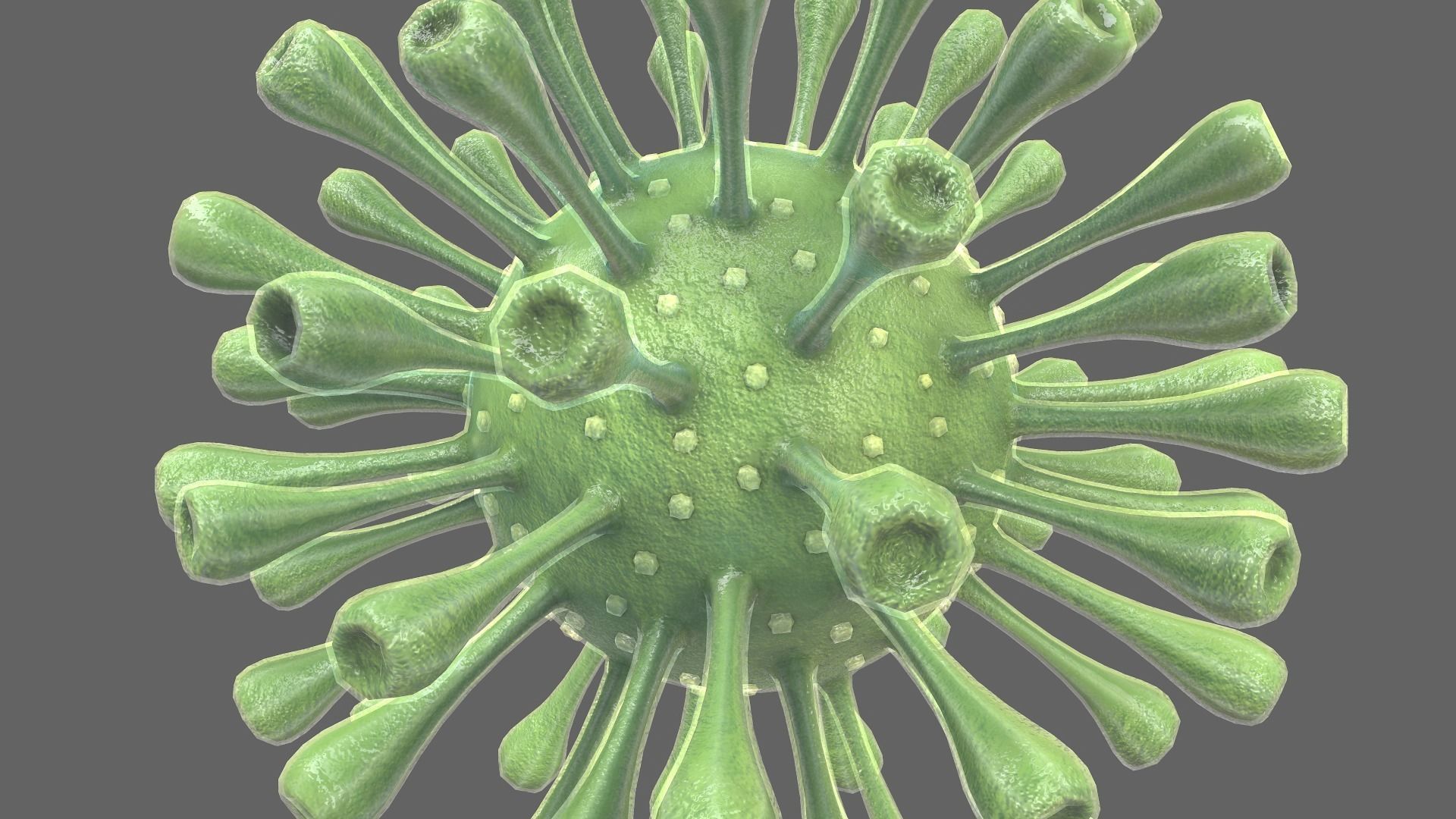 Coronavirus Realtime Low-poly 3D model_6