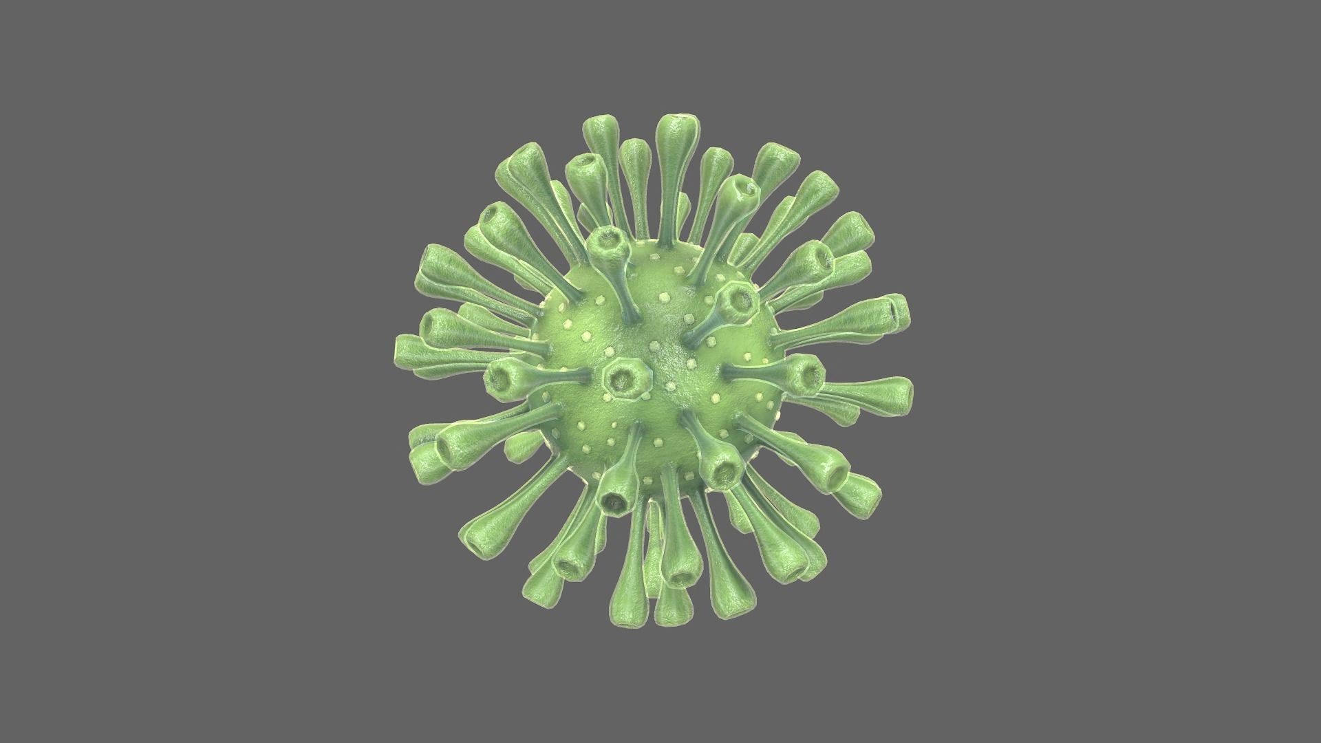 Coronavirus Realtime Low-poly 3D model_3
