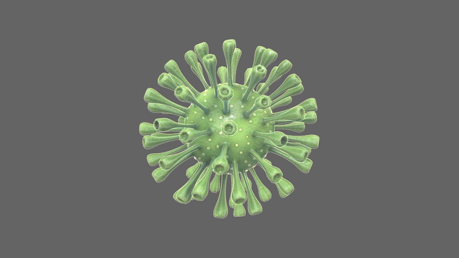 Coronavirus Realtime Low-poly 3D model_5