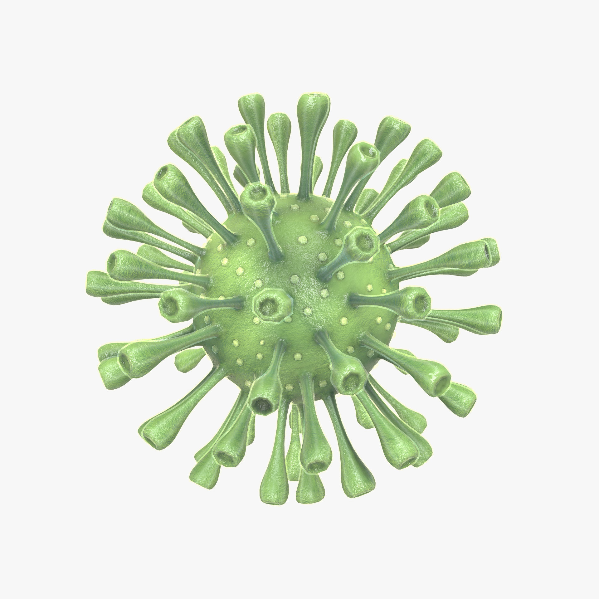 Coronavirus Realtime Low-poly 3D model_1