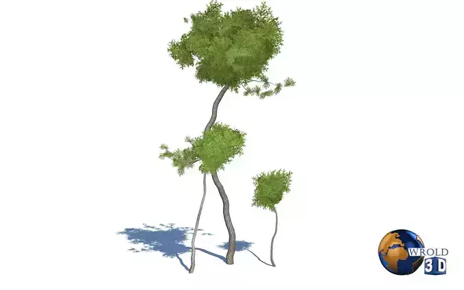 Realistic Forest Tree 3D Model