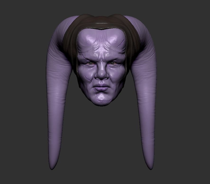 Figure Head custom 2 3D print model_8