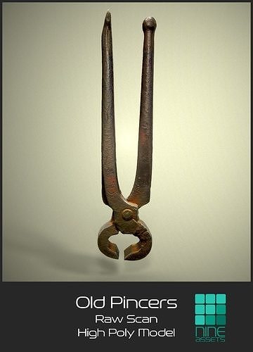 Old Pincers 3D model