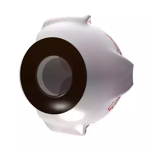 Eye-Max 2008 3D model
