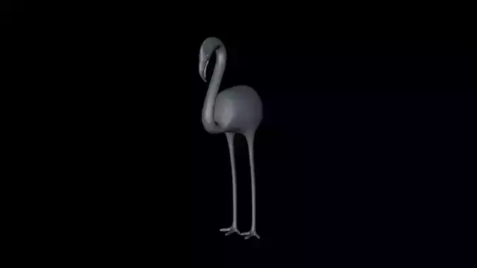 Ostrich 3D Model flamingo