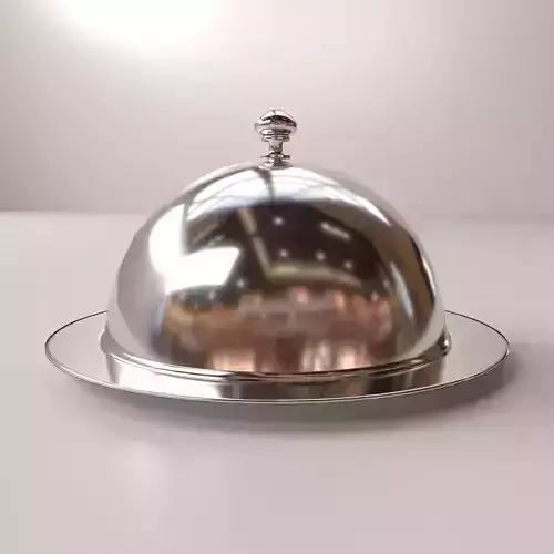 Cloche silver dome on table