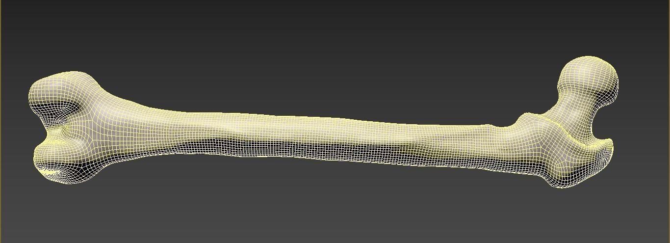 Femur bone closed and sliced 3D model_10