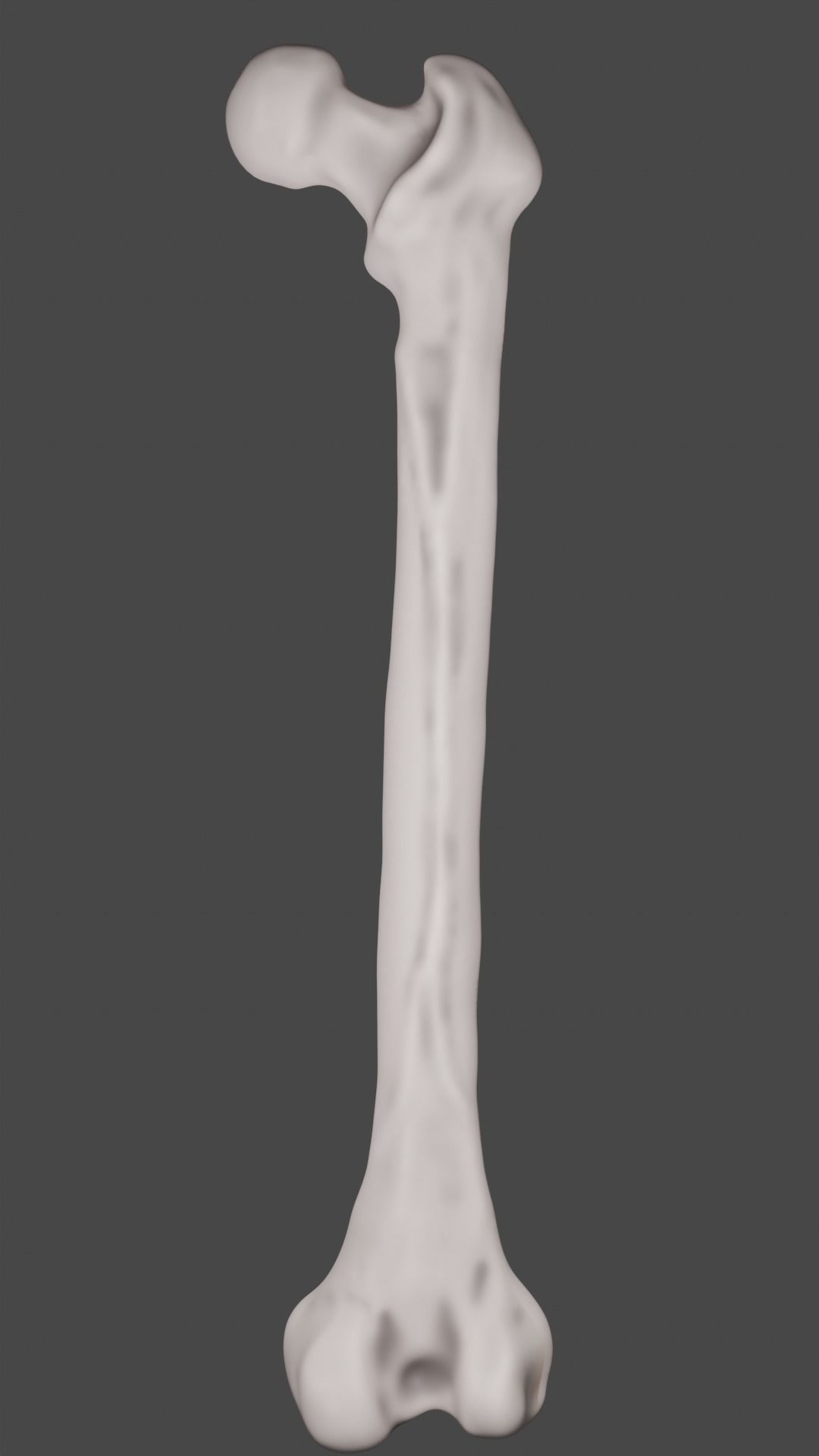 Femur bone closed and sliced 3D model_20
