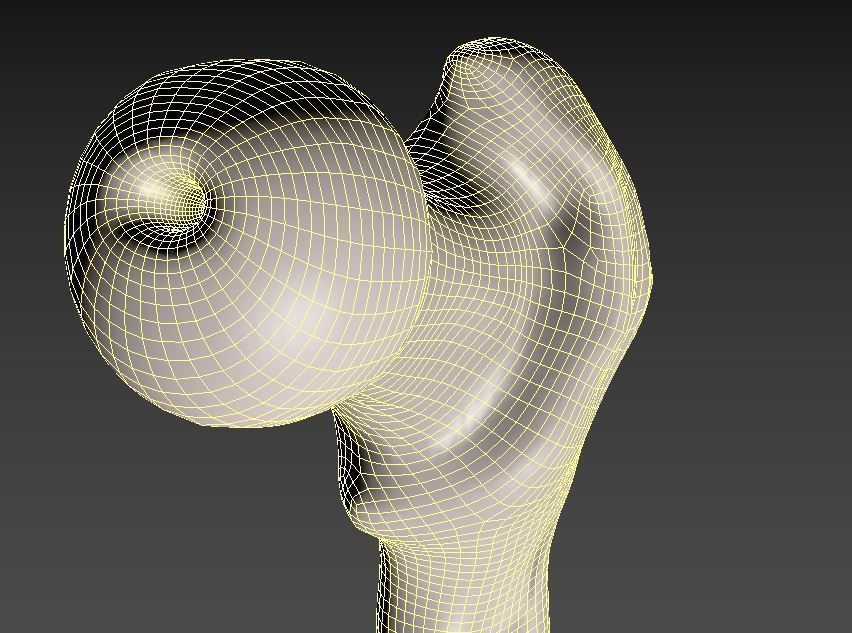 Femur bone closed and sliced 3D model_13