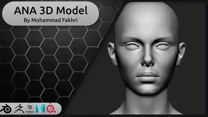 Ana 3d Model 3D model