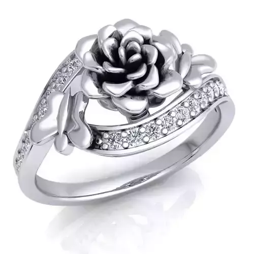 Ring 62 3D print model