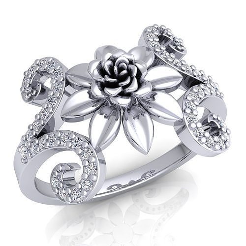 Ring 64 3D print model