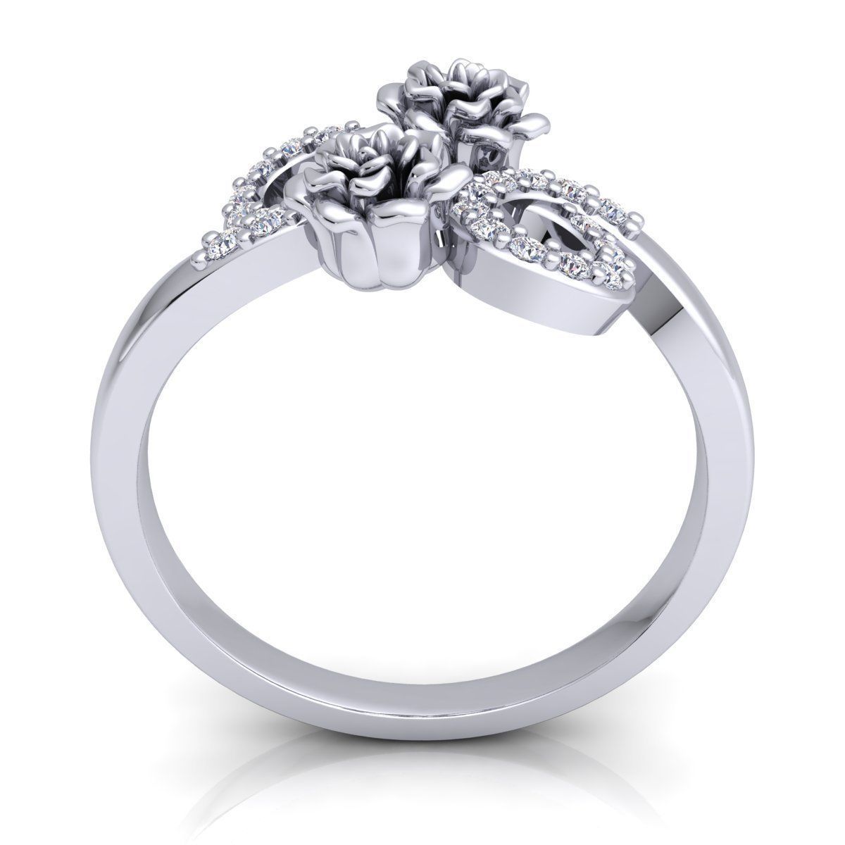 Ring 66 3D print model_5