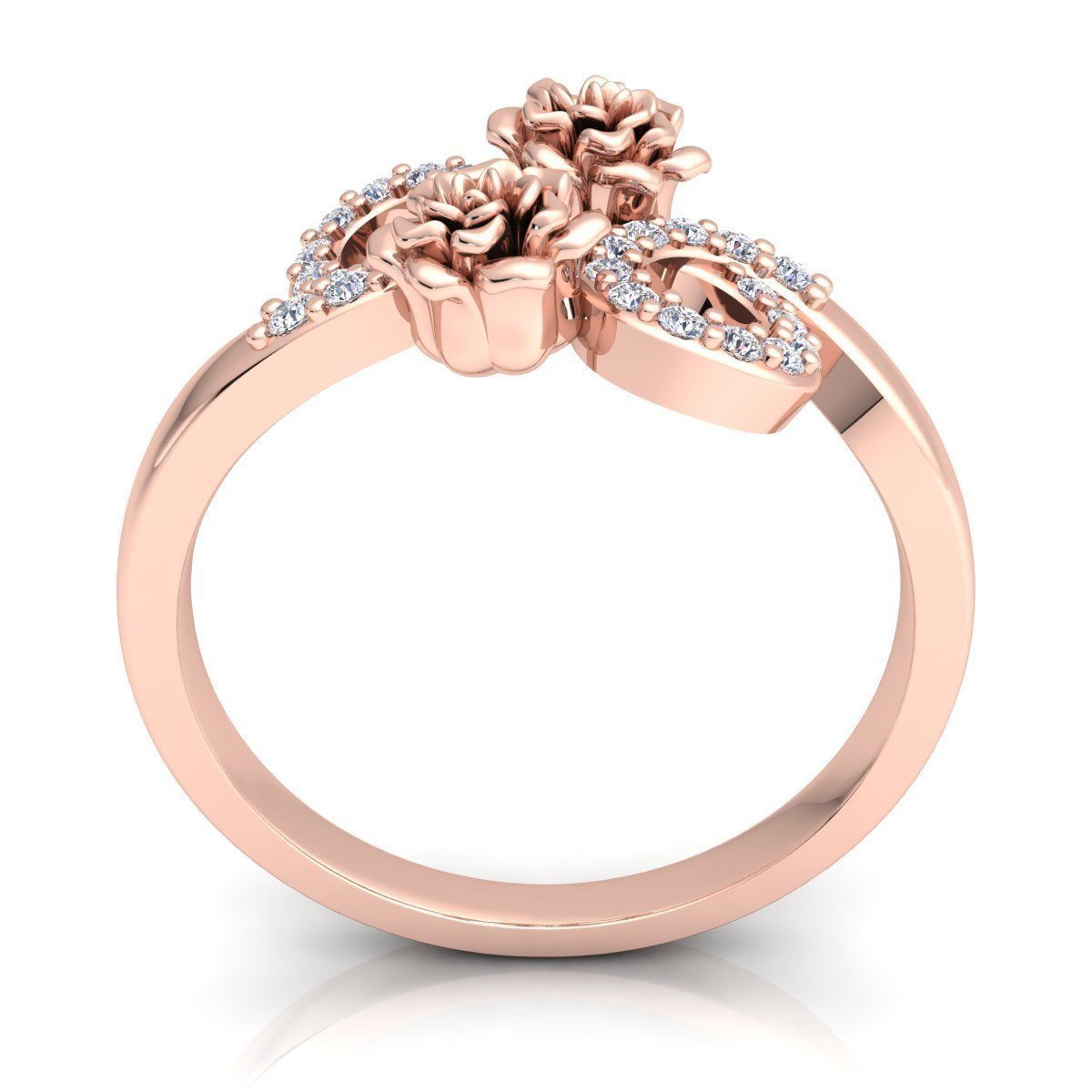 Ring 66 3D print model_4