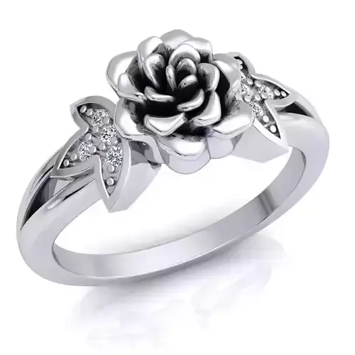Ring 67 3D print model