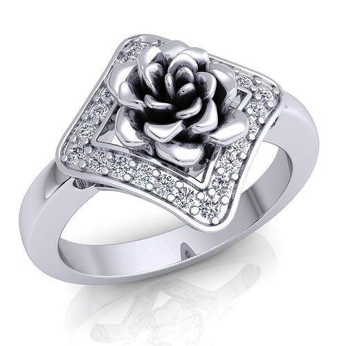 Ring 68 3D print model