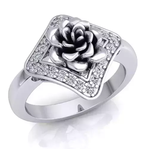 Ring 68 3D print model