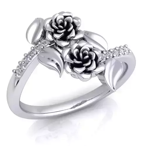 Ring 69 3D print model