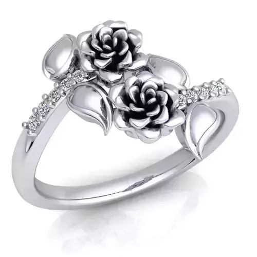 Ring 70 3D print model