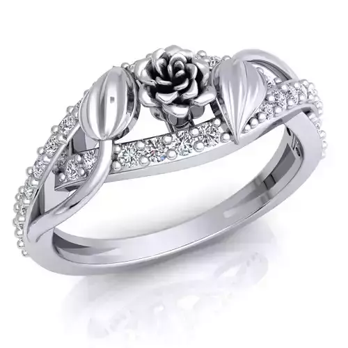 Ring 71 3D print model