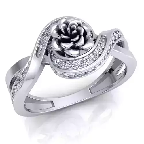 Ring 74 3D print model