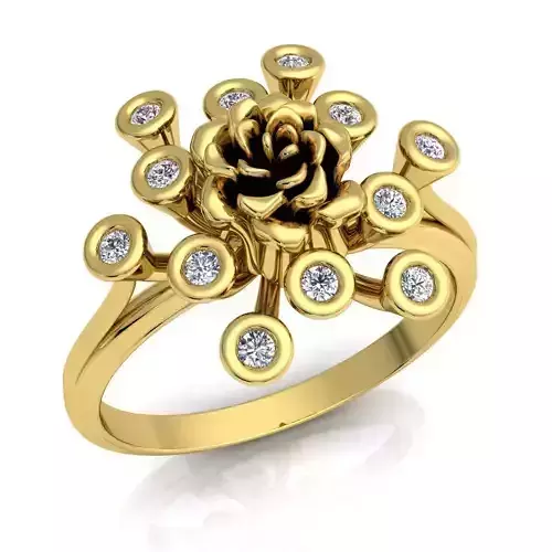 Ring 75 3D print model