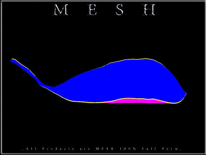 Autumn Leaf 02 - Curved Low-poly 3D model_3