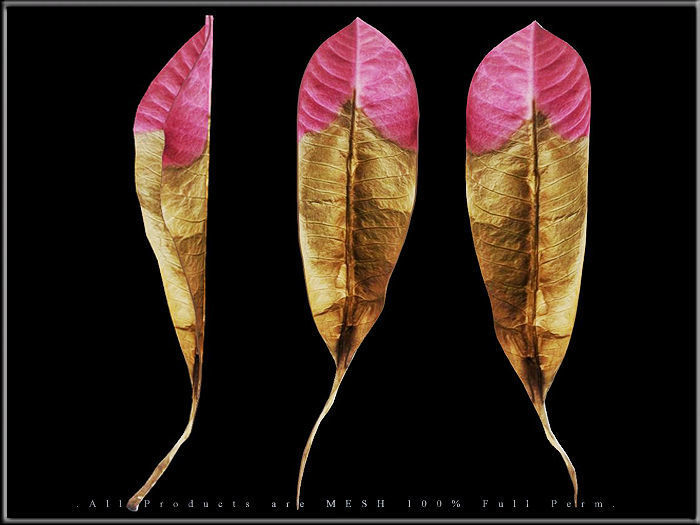 Autumn Leaf 02 - Curved Low-poly 3D model_1