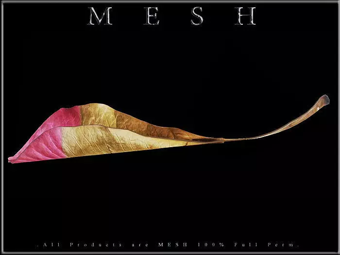 Autumn Leaf 02 - Curved Low-poly 3D model_0