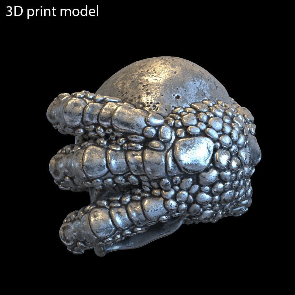 skull Pendant jewelry with claws vol1  3D print model_4