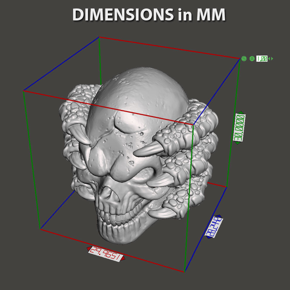 skull Pendant jewelry with claws vol1  3D print model_7