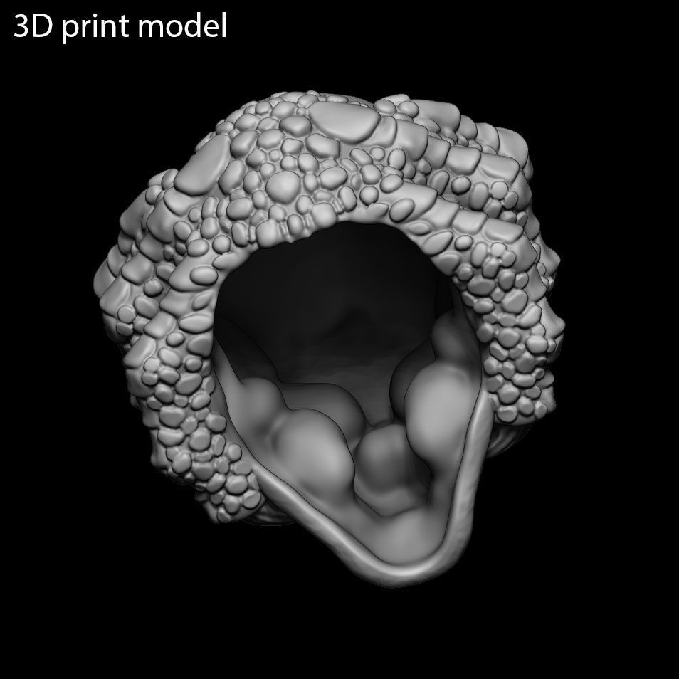 skull Pendant jewelry with claws vol1  3D print model_6