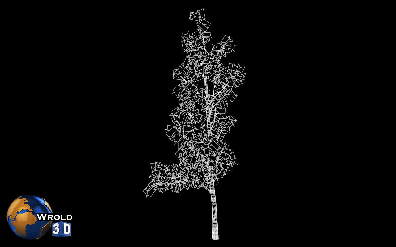 Tree willow salix realistic 3d model Low-poly 3D model_5