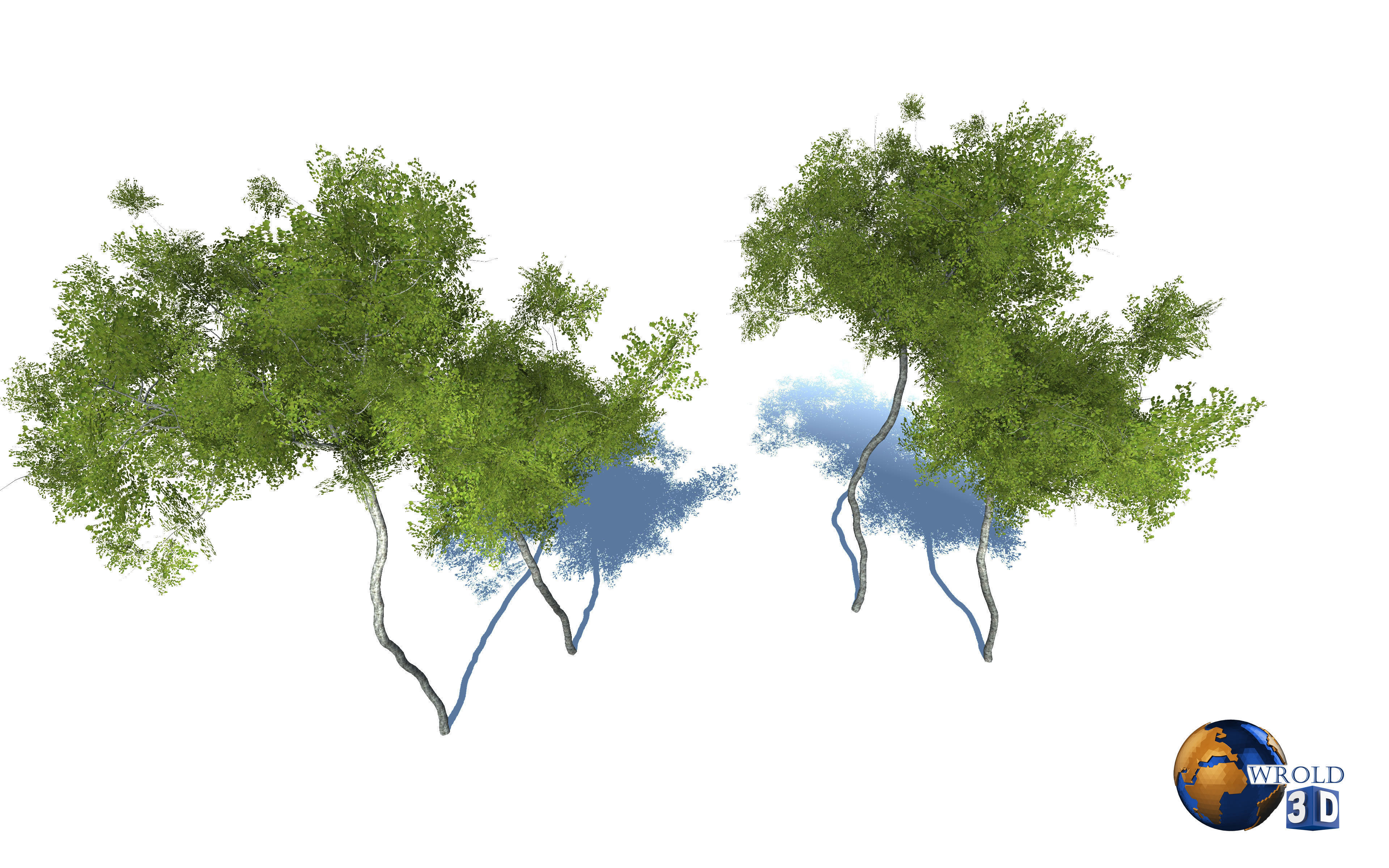 Forest Nature Tree Realistic Environment 3d Model Low-poly 3D model_2