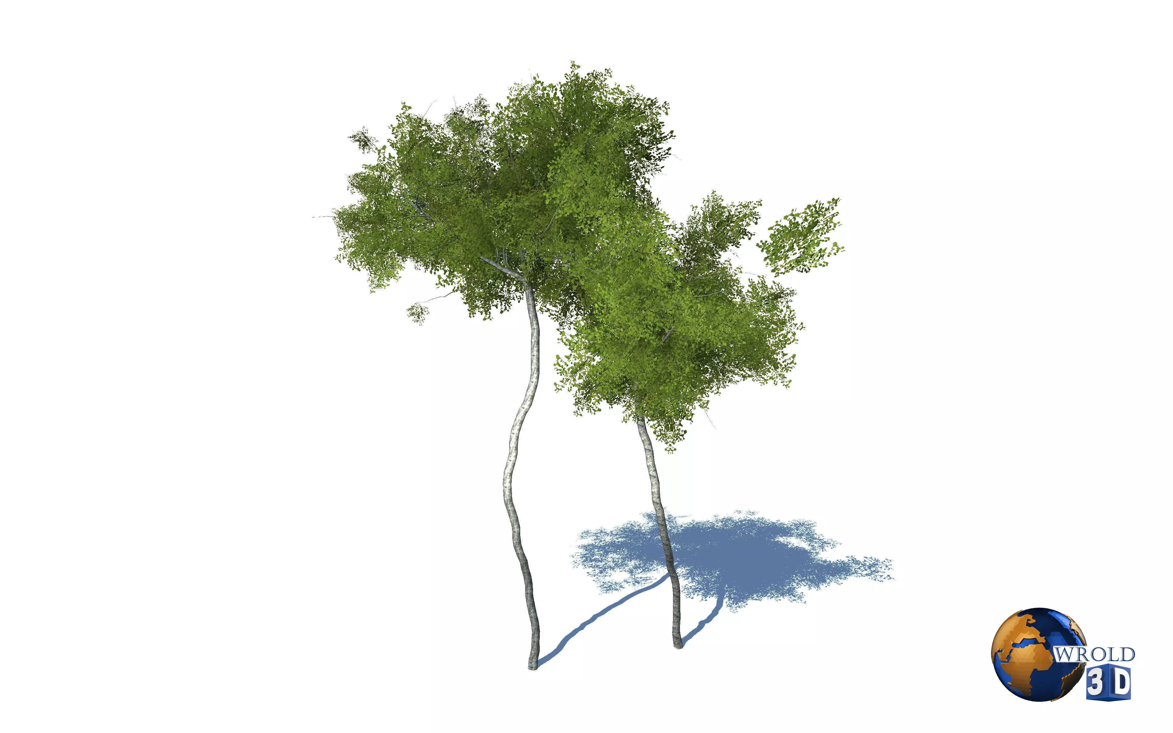 Forest Nature Tree Realistic Environment 3d Model Low-poly 3D model_0