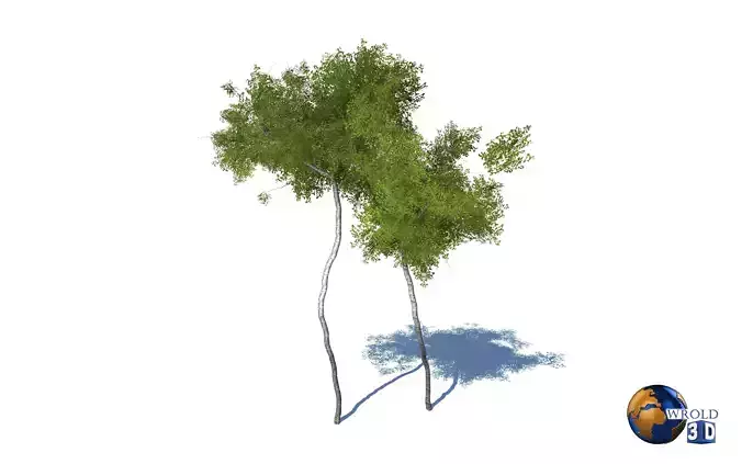 Forest Nature Tree Realistic Environment 3d Model Low-poly 3D model