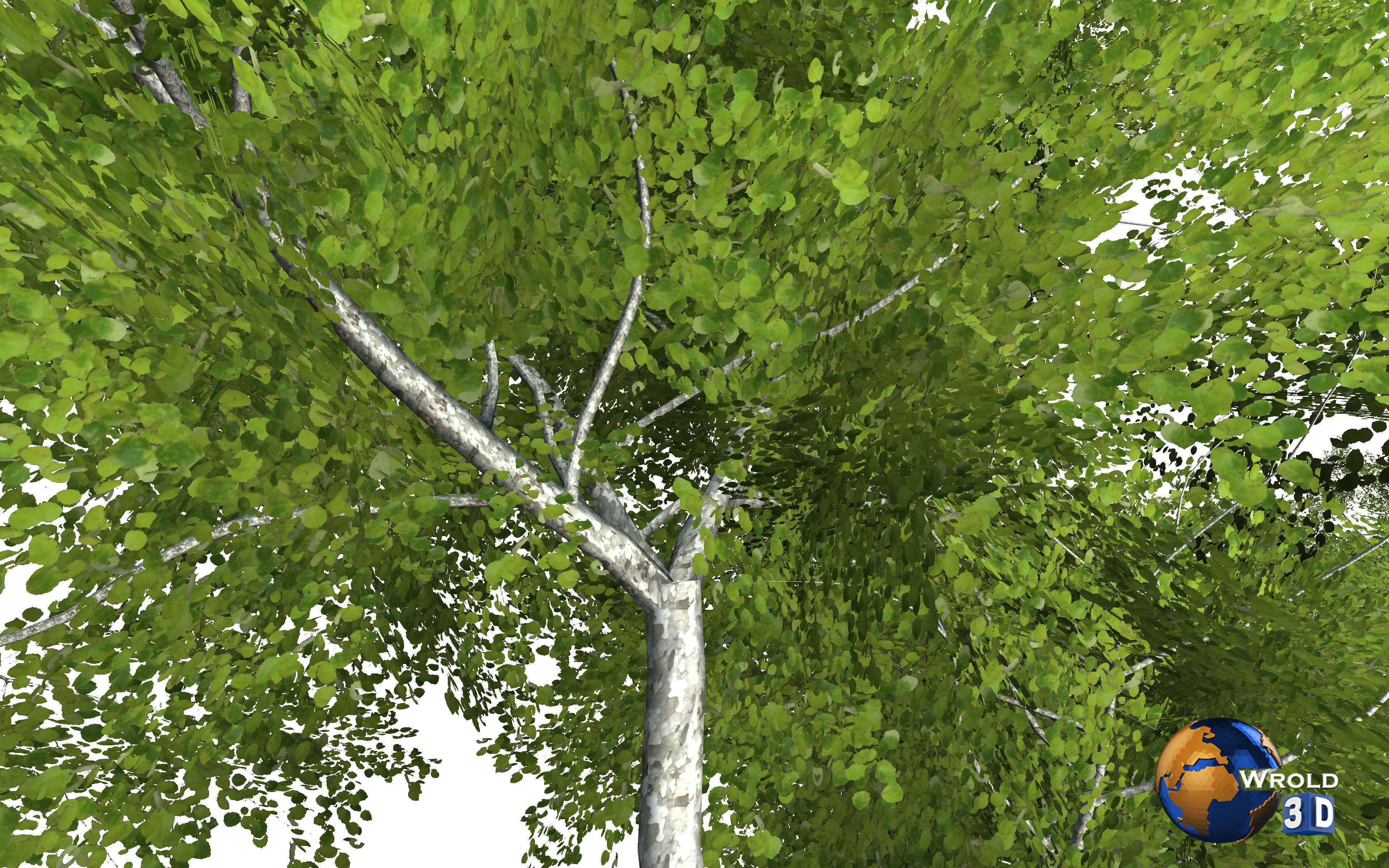 Forest Nature Tree Realistic Environment 3d Model Low-poly 3D model_3