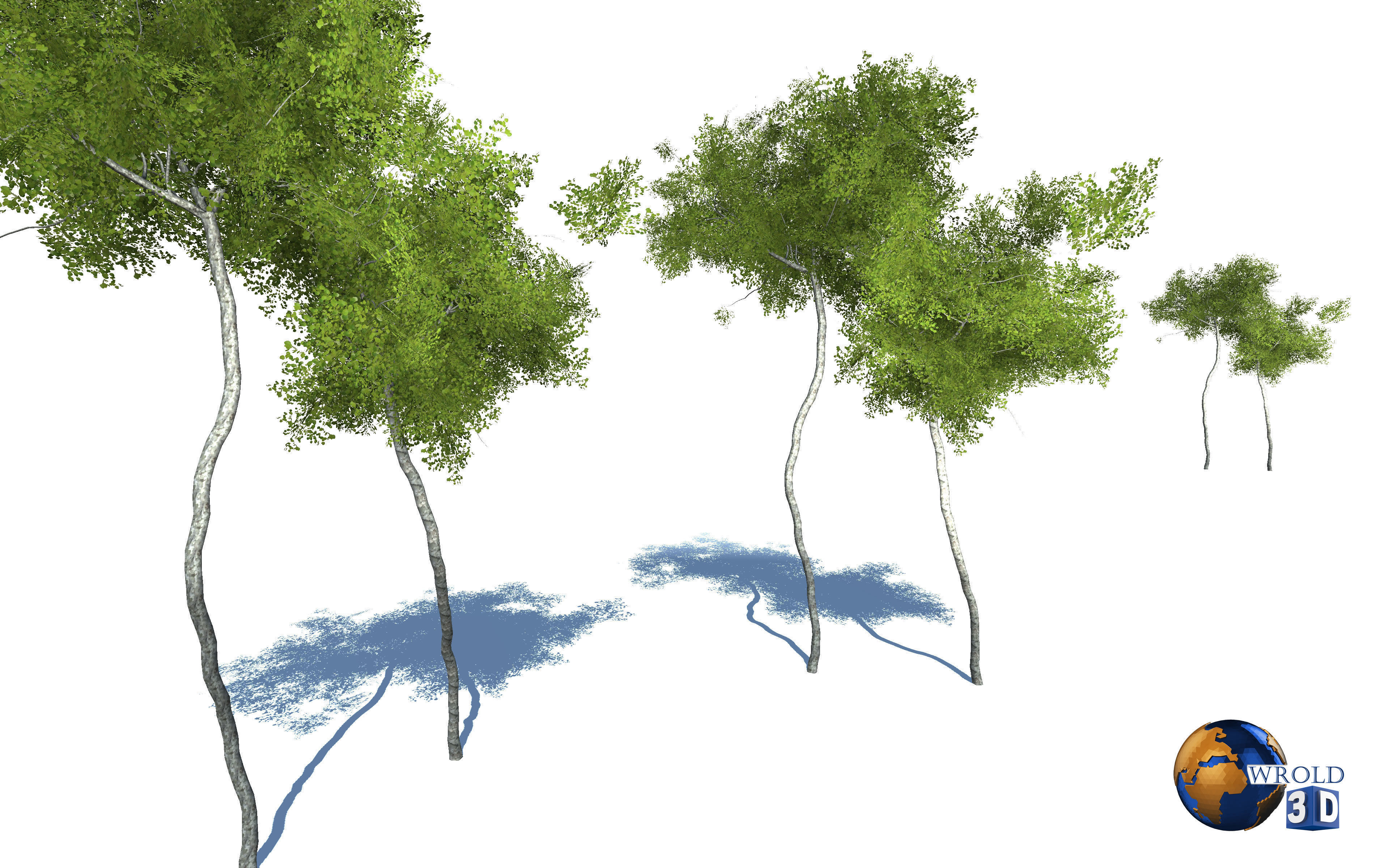 Forest Nature Tree Realistic Environment 3d Model Low-poly 3D model_4