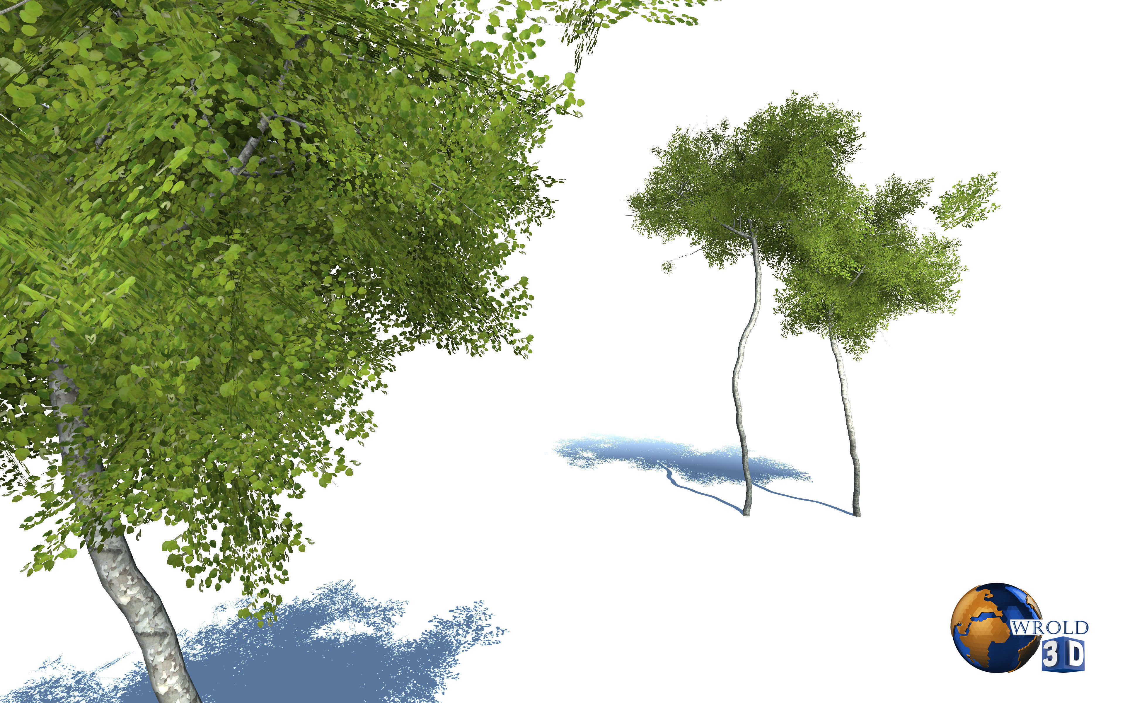 Forest Nature Tree Realistic Environment 3d Model Low-poly 3D model_1