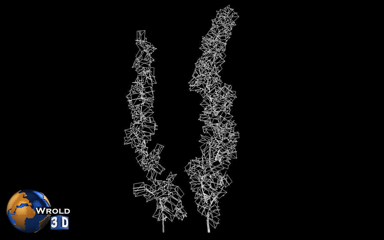 Forest Nature Tree Salix Type Realistic 3d Model Low-poly 3D model_5