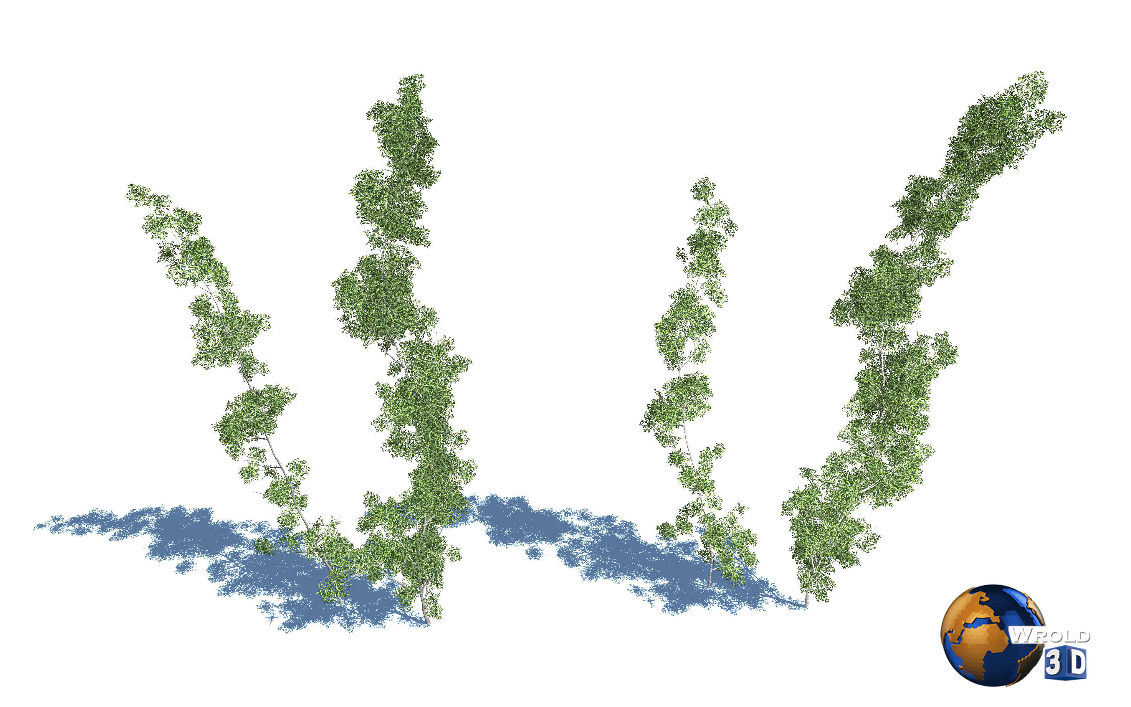 Forest Nature Tree Salix Type Realistic 3d Model Low-poly 3D model_3