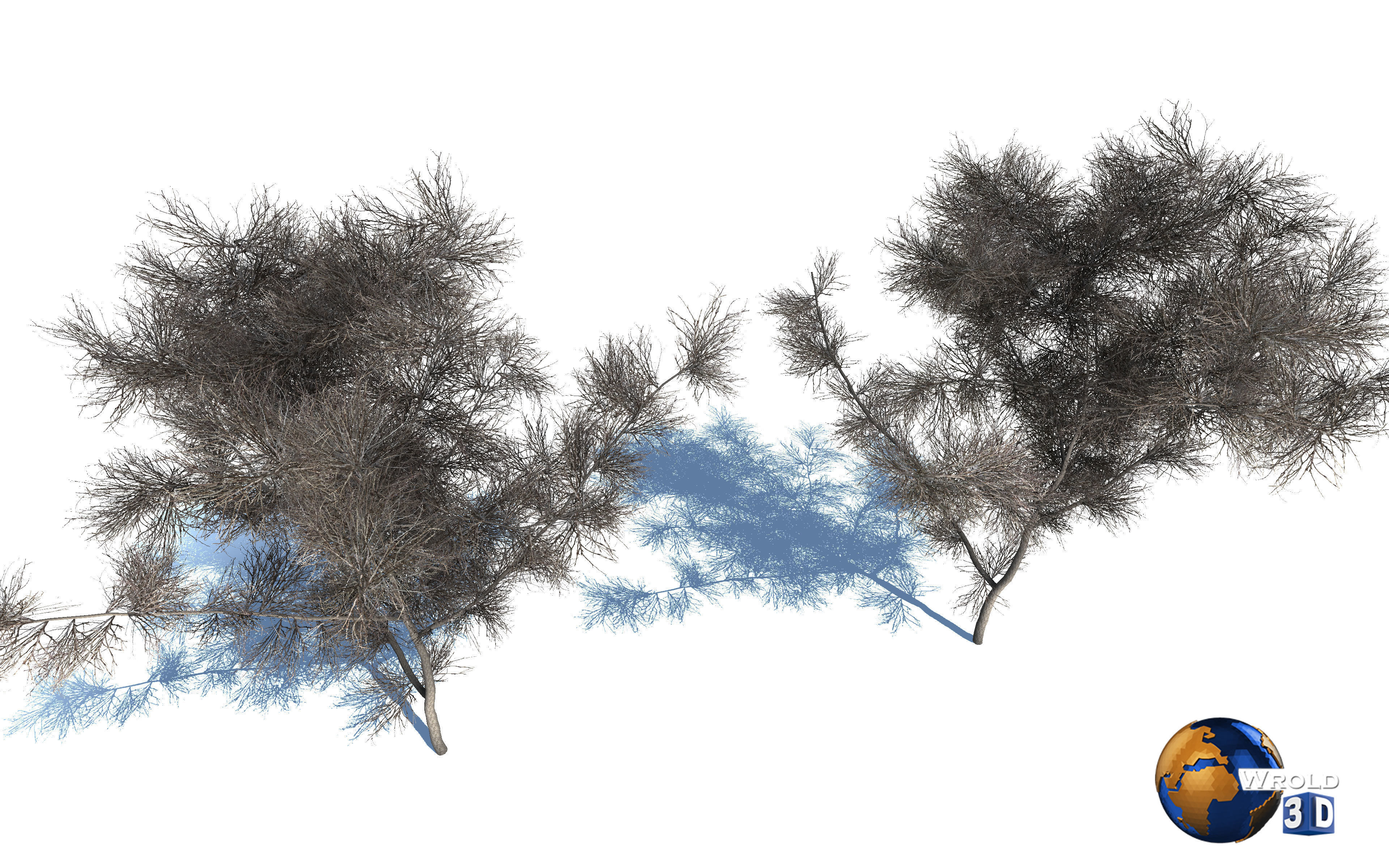 Realistic Dead Tree 3d model Low-poly 3D model_2